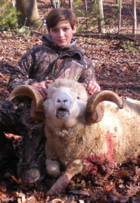 Rocky-Mtn-Ram