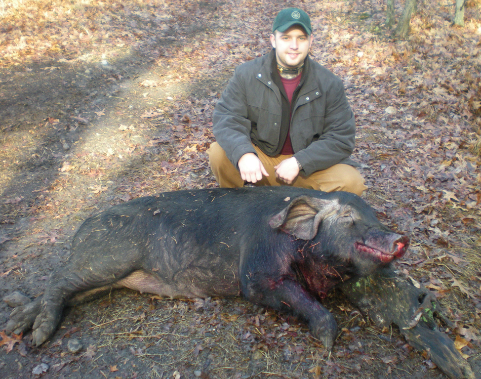 Trophy Wild Boar Hunting in PA