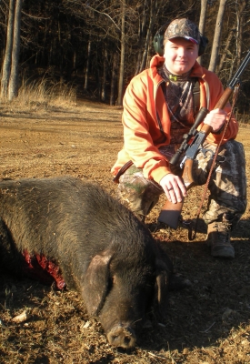 Texas-Hog2